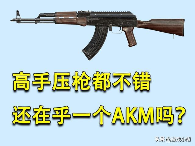 和平精英：全自动步枪，新手爱M416，高手爱AKM，战神爱什么？