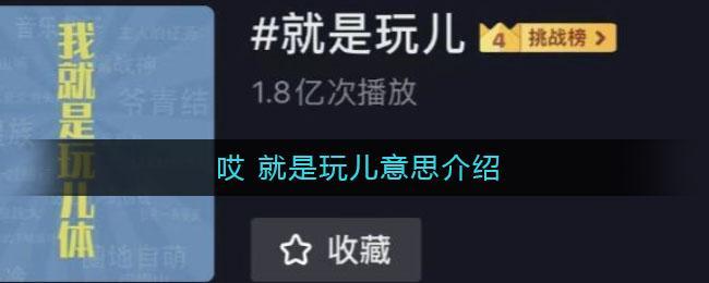  哎 就是玩儿意思介绍