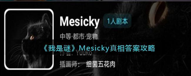 《我是谜》Mesicky真相答案攻略