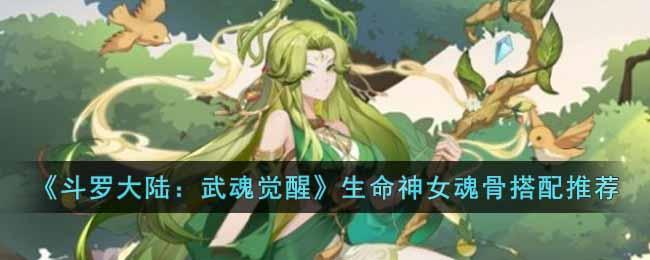 《斗罗大陆：武魂觉醒》生命神女魂骨搭配推荐