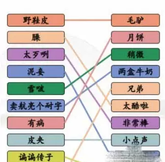 连线疆普2关示意图