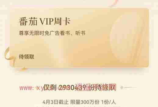 番茄小说vip激活码分享2024