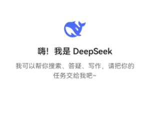 deepseek使用教程 deepseek使用方法和功能