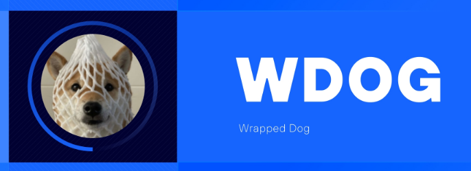 Wrapped Dog 的历史最高价是什么，它如何影响市场趋势？