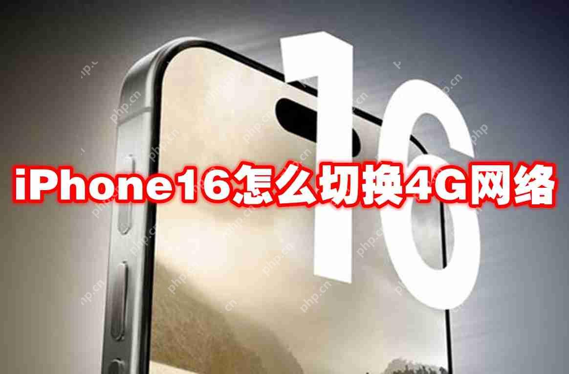 iPhone16怎么切换4G网络