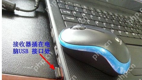 无线鼠标怎么连接电脑_无线鼠标连接电脑的方法步骤教程
