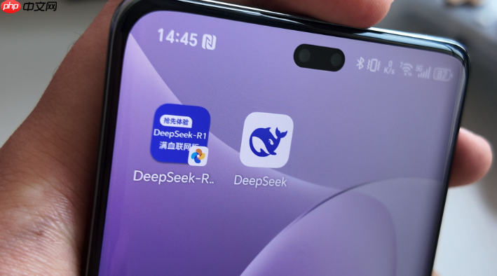 如何在DeepSeek中设置个性化偏好?如何让AI更符合你的使用习惯?