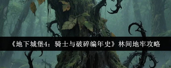 《地下城堡4:骑士与破碎编年史》林间地牢攻略