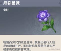 蓝须弥与红须弥的区别:外观及特性详解